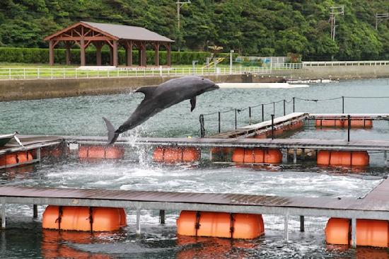 Iki Iruka Park & Resort