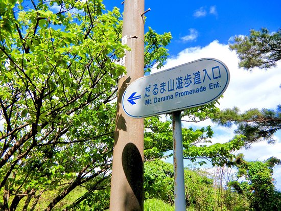 Daruma Forest Road