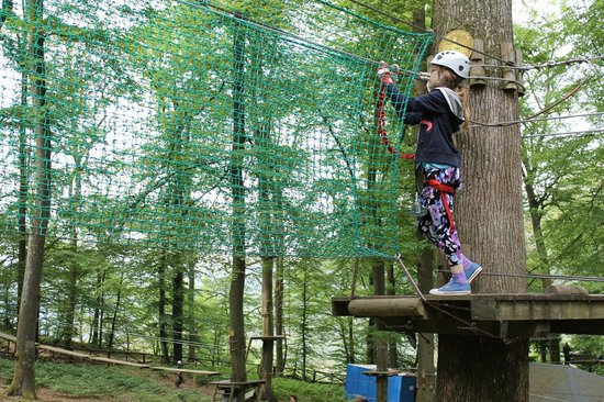 Tree Climber