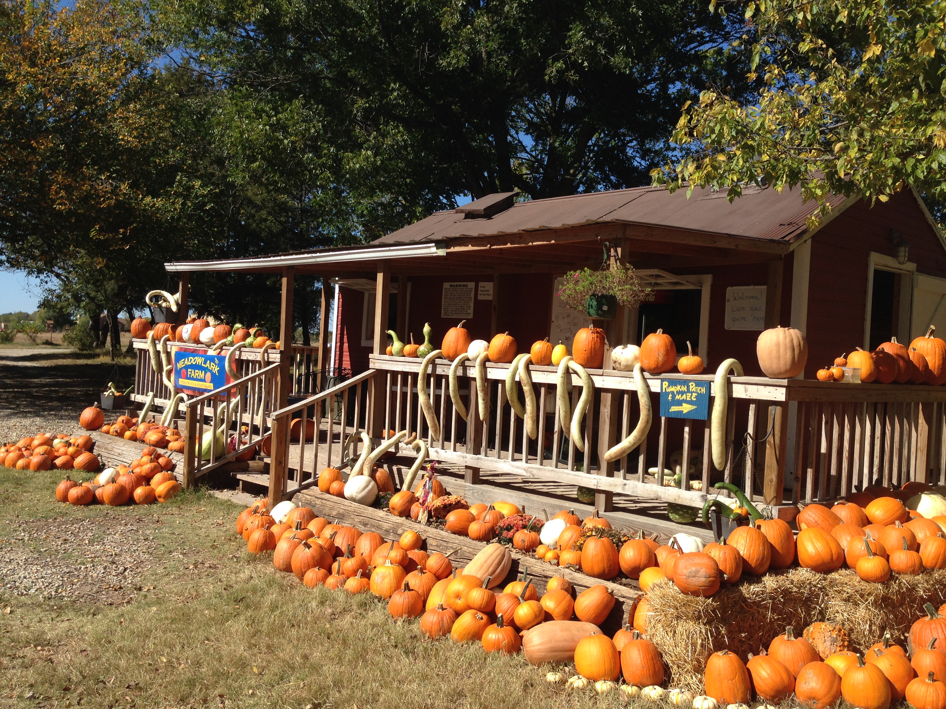 Apple Farm