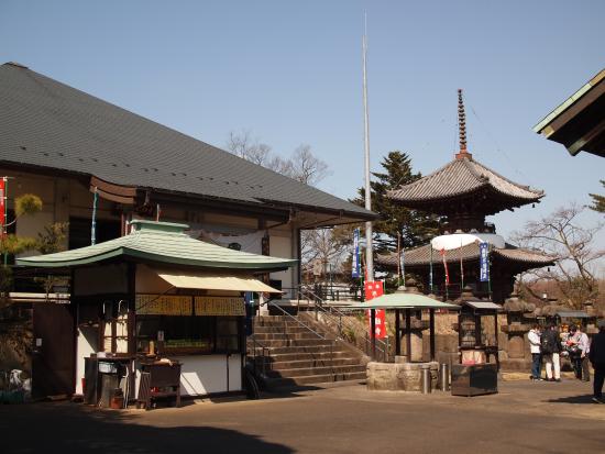 Sayama Fudoson