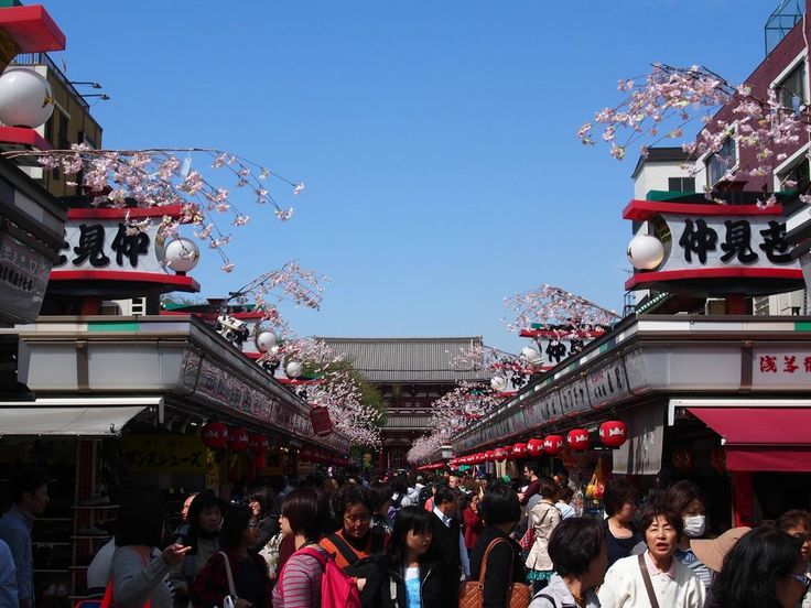 Asakusa Kirara