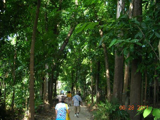 Center for Tropical Studies (CENTROP)