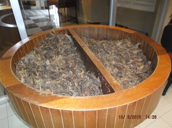 Museo del Tabaco Caguas