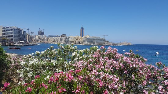 Independence gardens