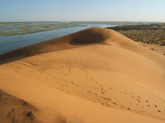 La Dune Rose