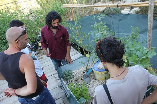Bahrija Oasis Permaculture Bio Farm