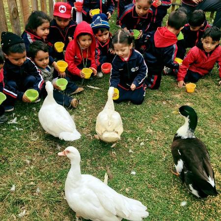 La Granja de los Ninos