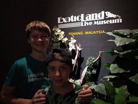Exotic Land Live Museum
