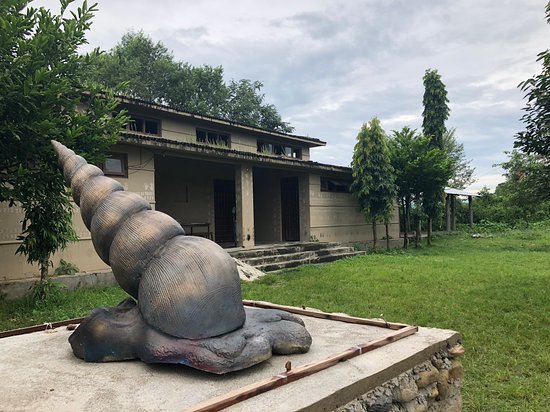 Tharu Cultural Museum and Research Center