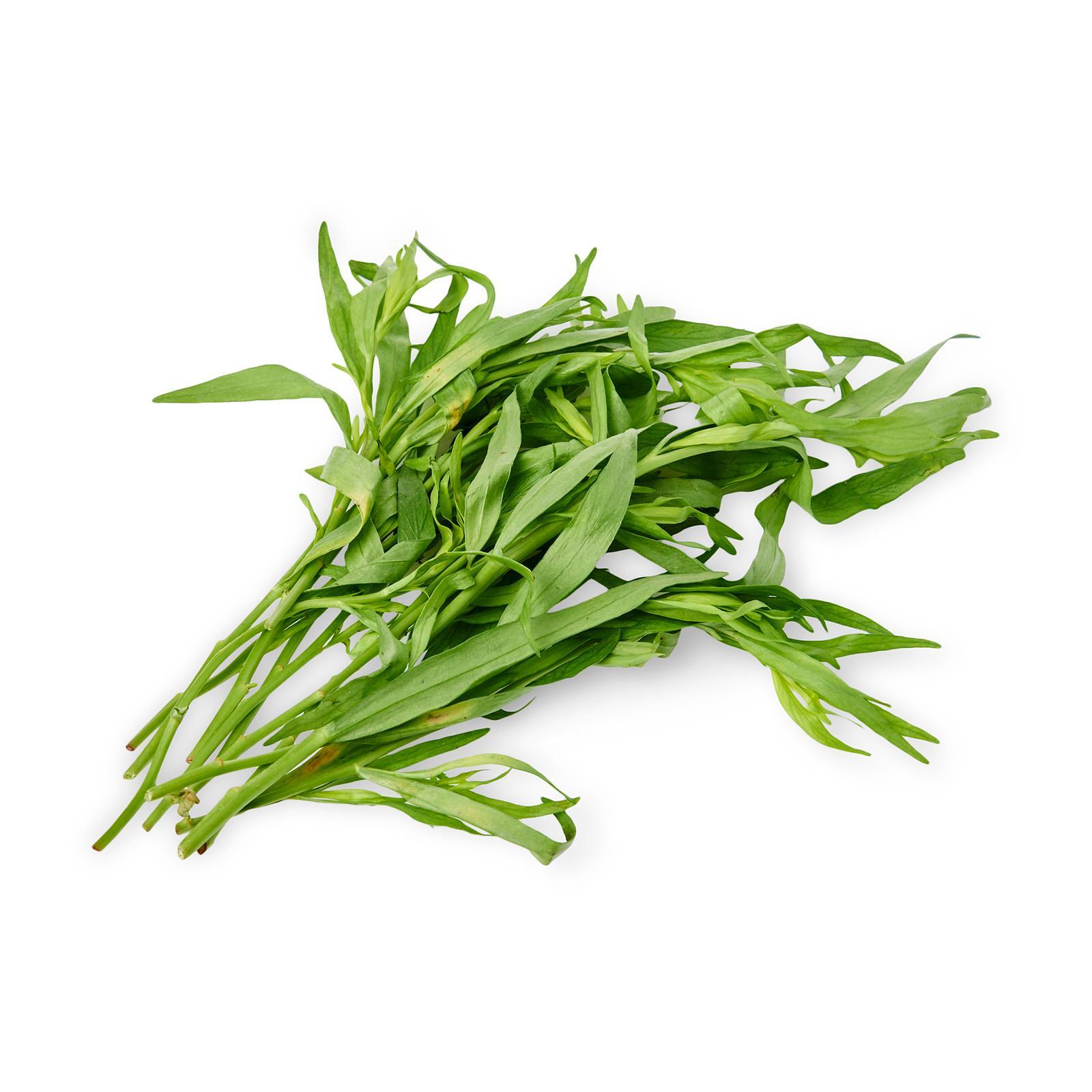 Herb