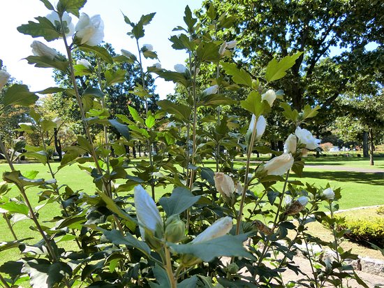 Memuro Park