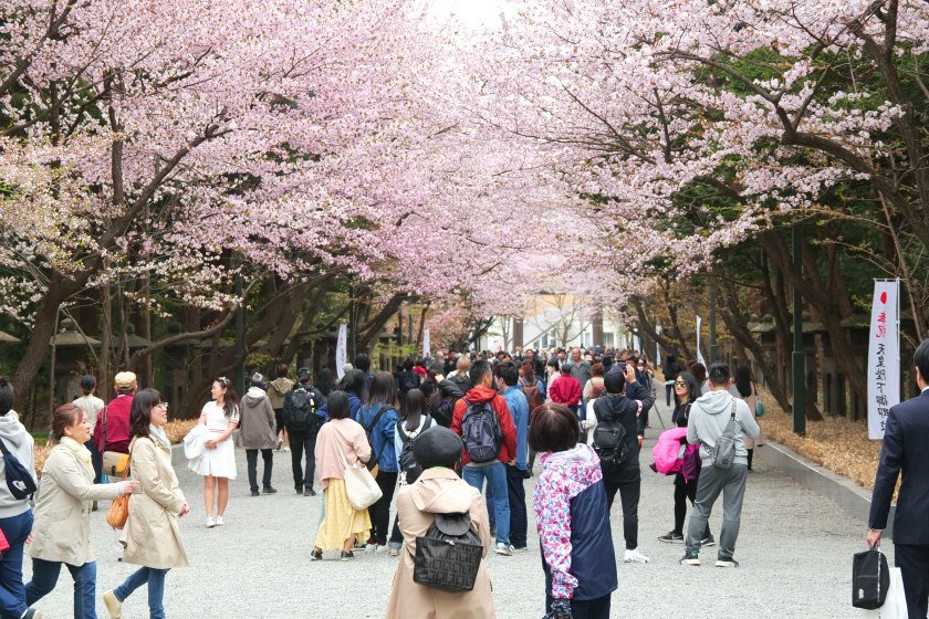 Marugame Maruyama Honten
