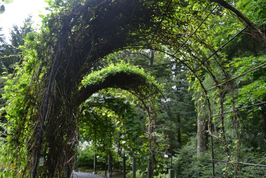 Manabe Garden
