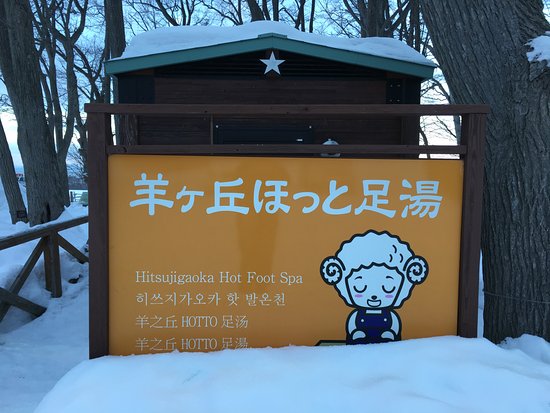 Sapporo Hitsujigaoka Observation Platform