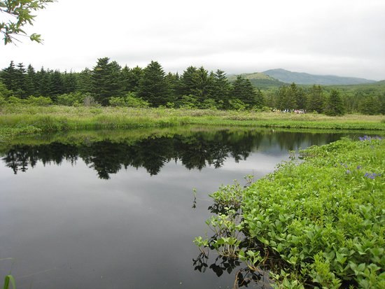 Minamihama Wetland