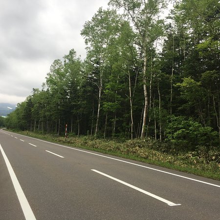 Shirakaba Road
