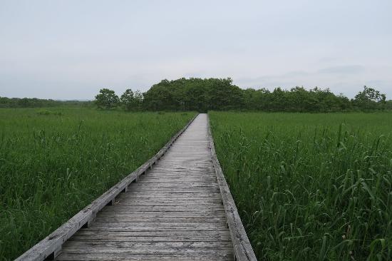 Outdoor Pictures 1