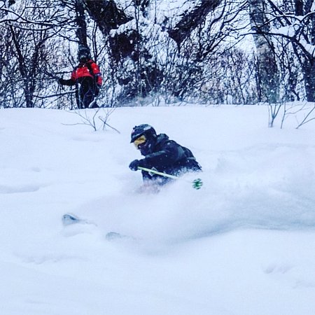 Niseko Academy Snowsports School