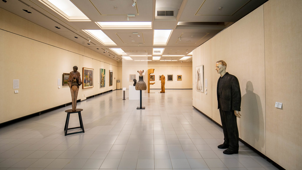 International Dyeing Museum