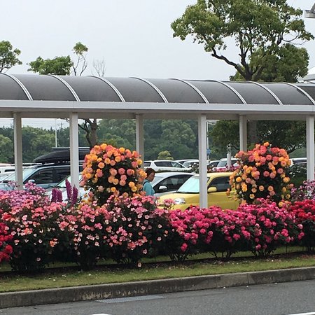 Yamaguchi Ube Airport Rose Garden