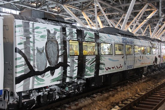 Asahiyama Zoo Train