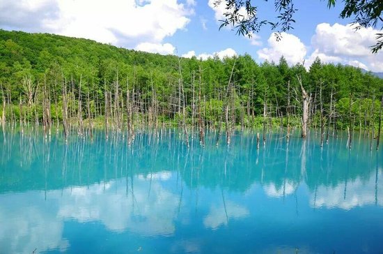 Shirogane Blue Pond