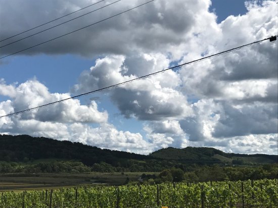 Hosui Winery
