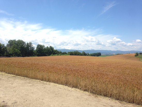 Panorama Road