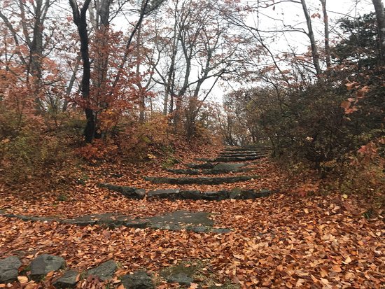 Onuma Park Walking Path