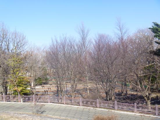 Outdoor Pictures 1