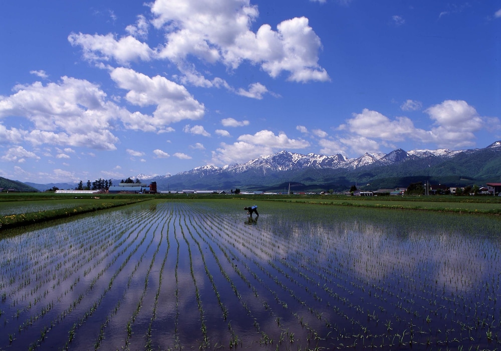 Furano Golf Course