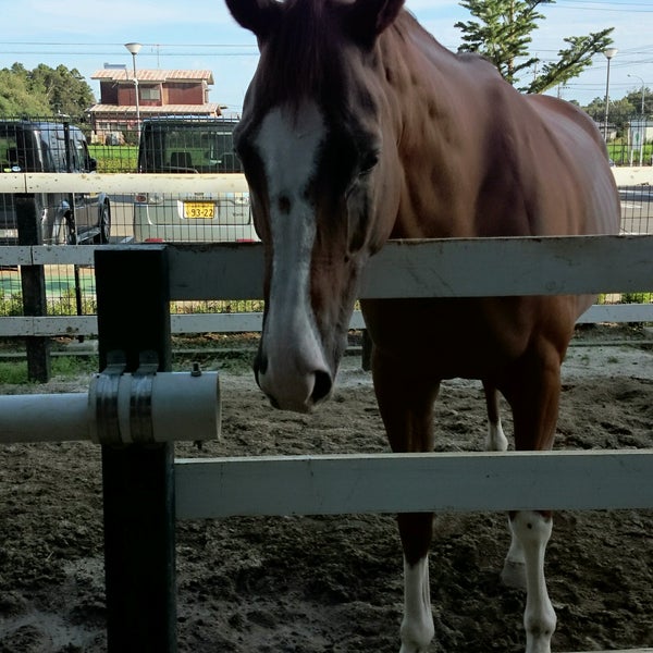 Horse Riding Club Crane Chiba Tomisato
