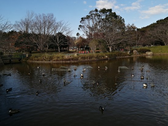 Sodegaura Park