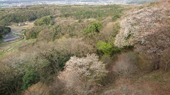 Mifune no Sato Information Center