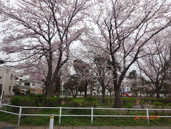 Outdoor Pictures 1