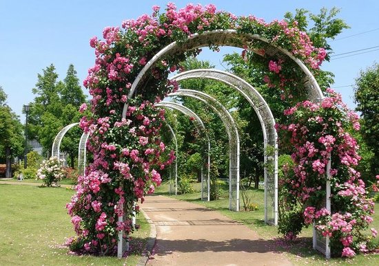 Hogashi Matsudo Yui no Hana Park