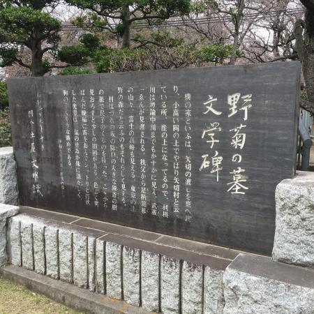 Nogiku No Haka Bungaku Hi