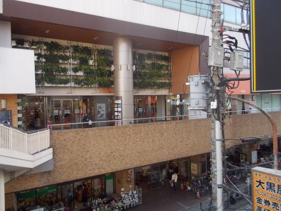 Plare Matsudo
