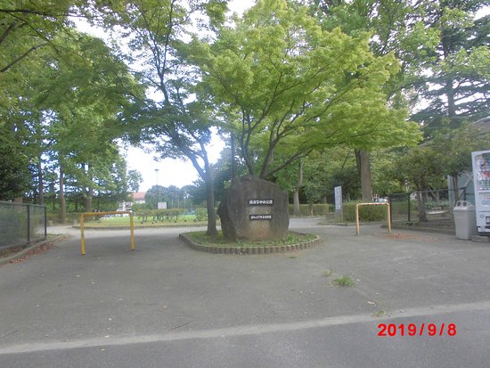 Yokosuka Chuo Park