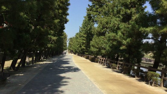Soka Matsubara