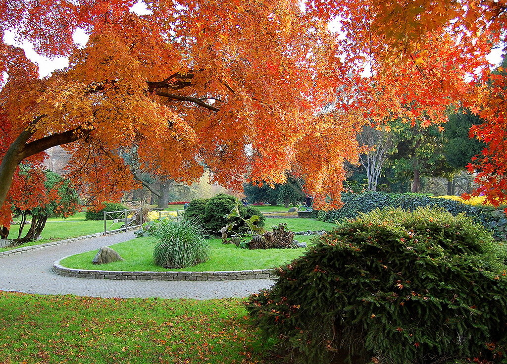 Osen Park