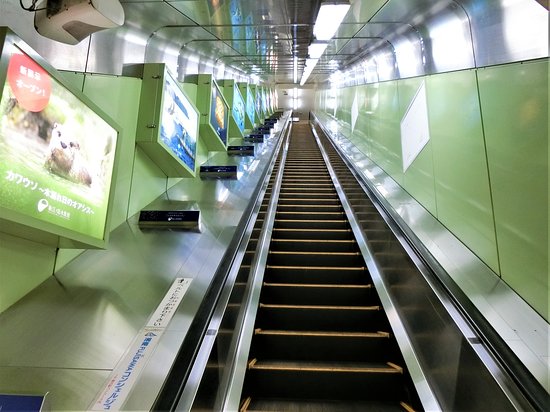 Enoshima Escalator