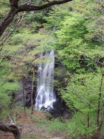 Konaka Falls
