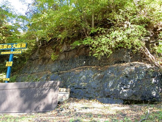 Coal Outcrop