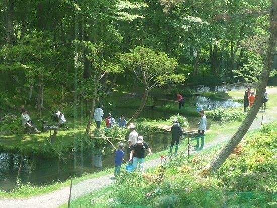 Kojohama Saito Fishing Pond