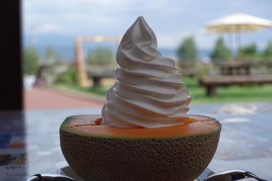 Tomita Melon House