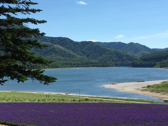 Lake Kanayama Forest Park