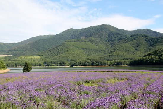 Lake Kanayama