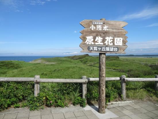 Koshimizu Primeval Garden